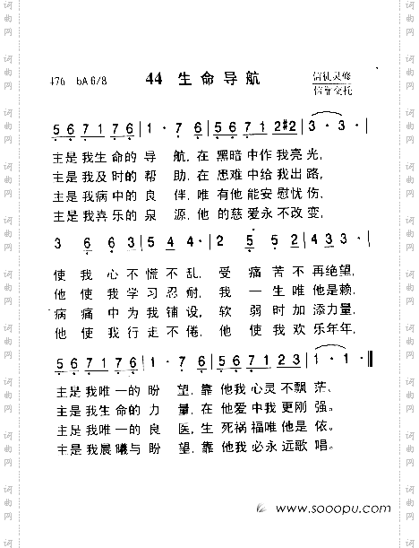 生命导航