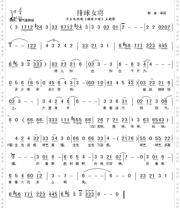 排球女将同名日本电视剧主题歌