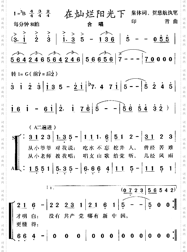 在灿烂阳光下