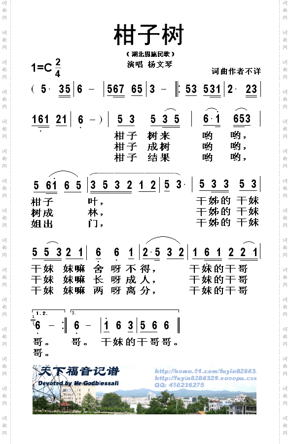 柑子树