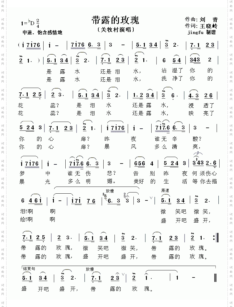 带露的玫瑰