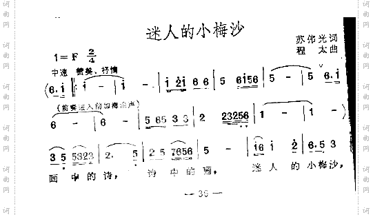 迷人的小梅沙女独