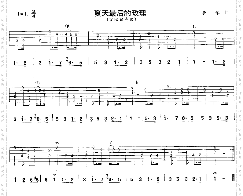 夏天最后的玫瑰独奏曲