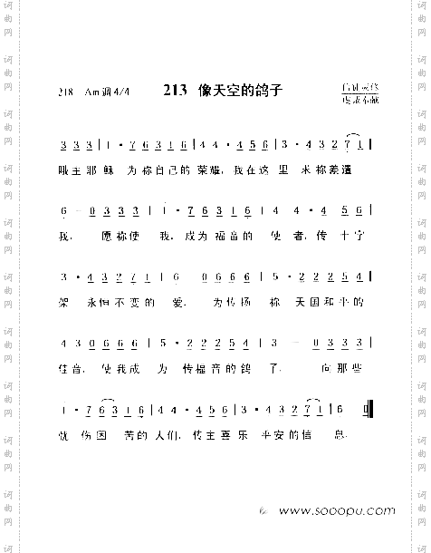 像天空的鸽子