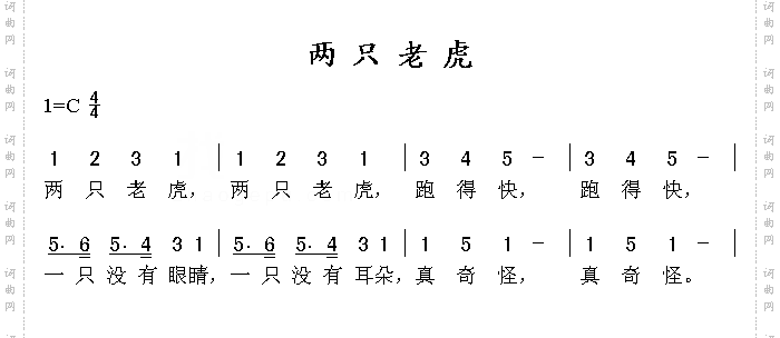 两只老虎