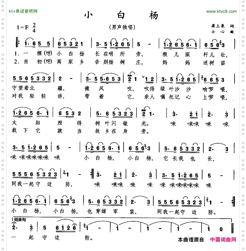 小白杨