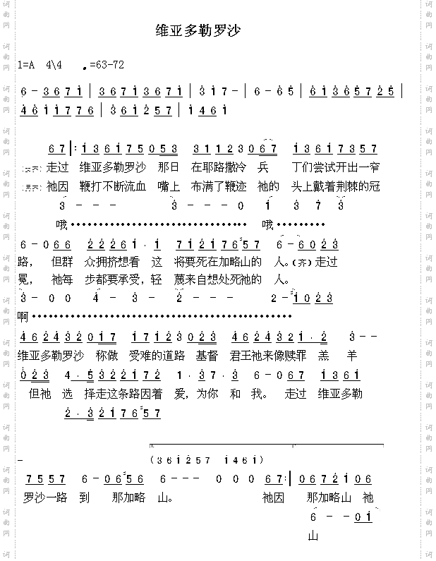 维亚多勒罗沙