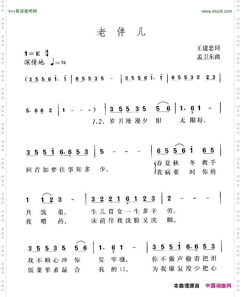老伴儿