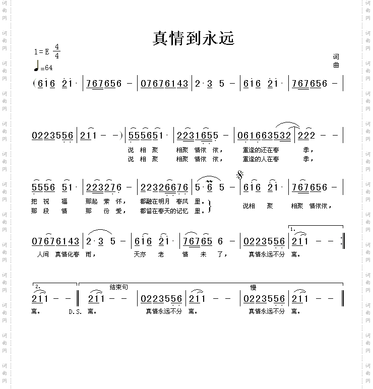 真情到永远