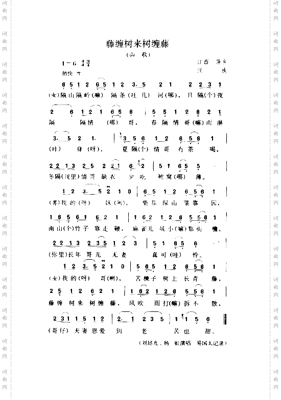 藤缠树来树缠藤山歌