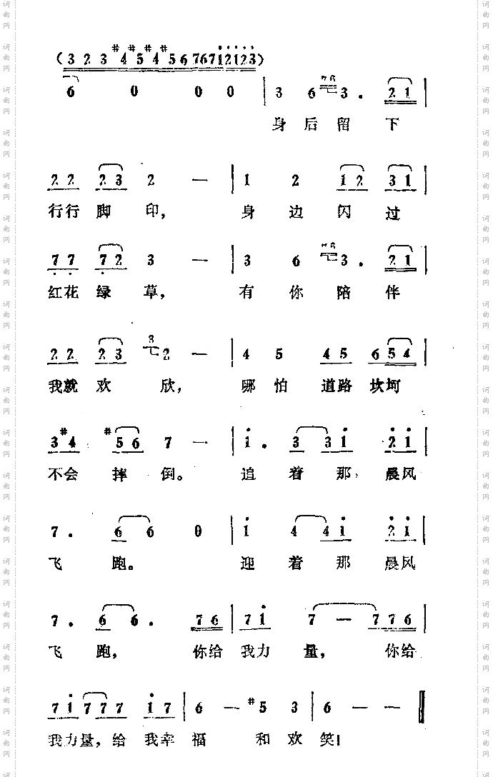 追着晨风跑