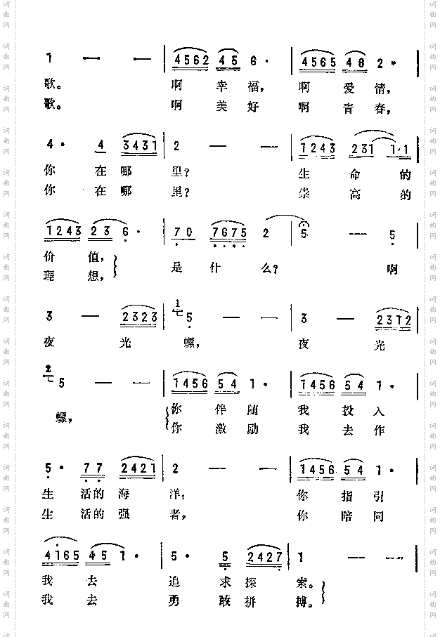 夜光螺