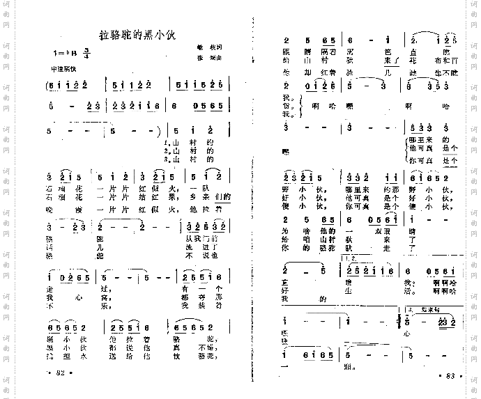 拉骆驼的黑小伙