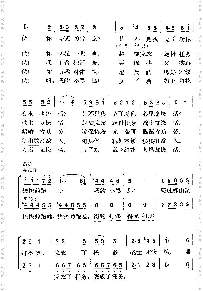 我的小黑马