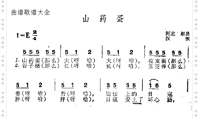 山药蛋