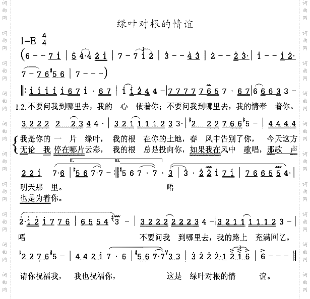 绿叶对根的情谊
