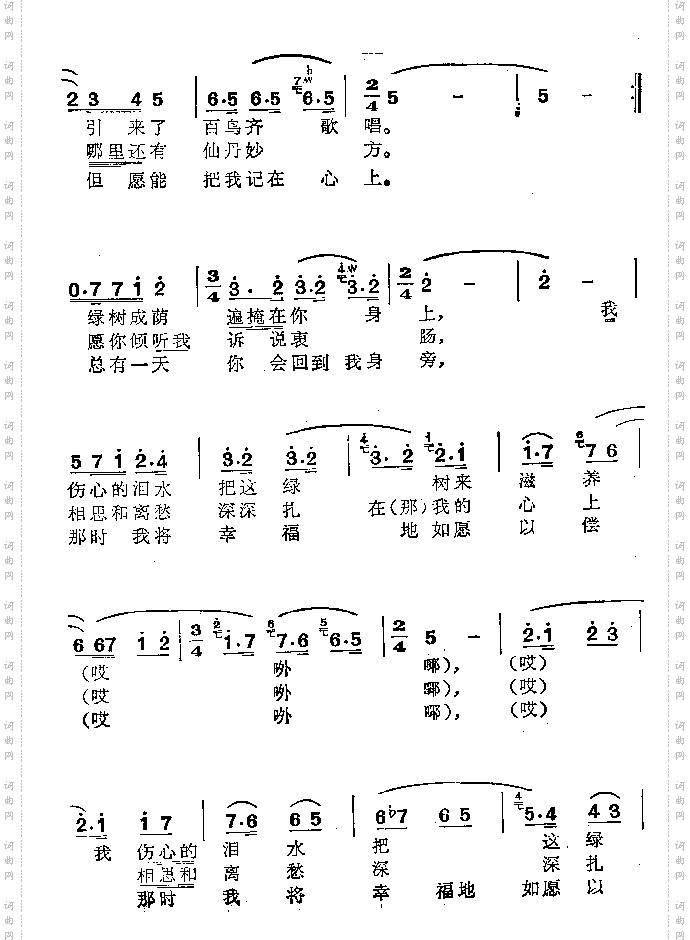 深深的爱
