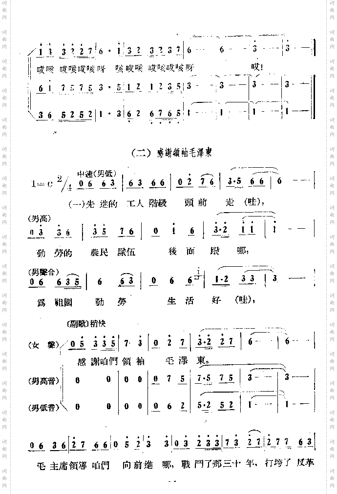 胜利花开遍地红
