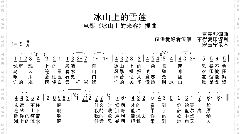 冰山上的雪莲