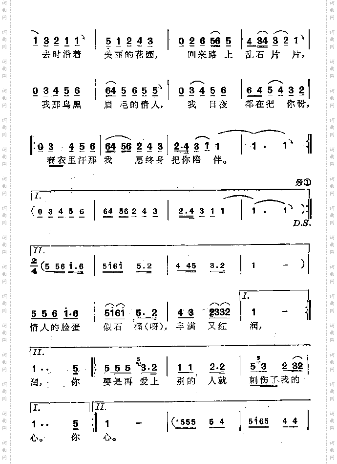 赛衣里汗