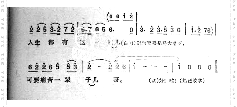 人说喜酒不醉人儿东北民歌