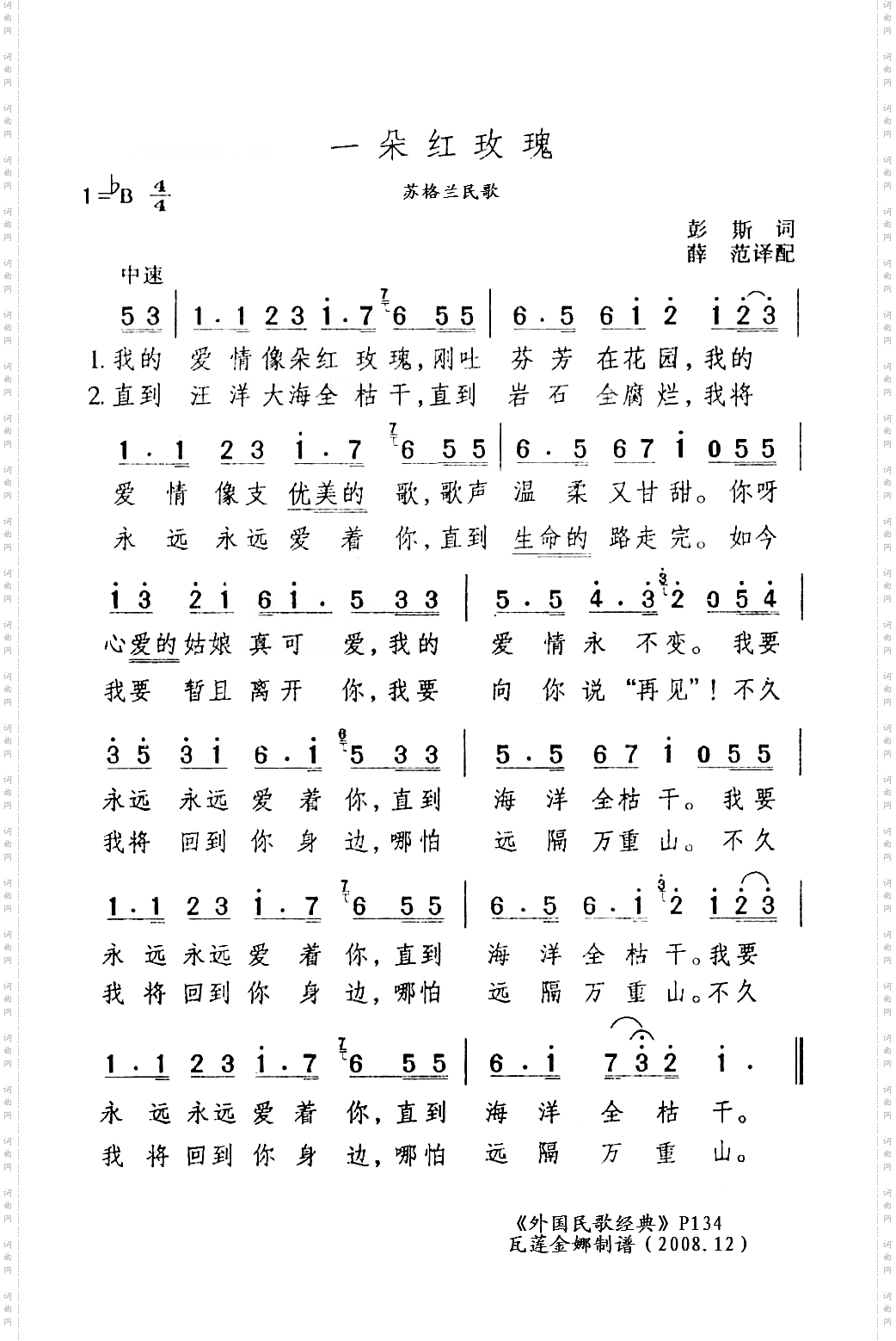 一朵红玫瑰