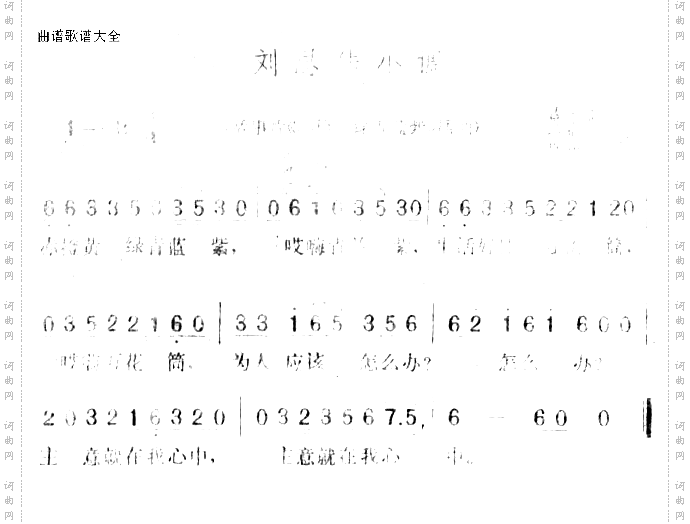 刘思佳小调