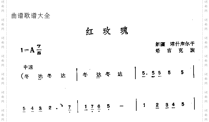 红玫瑰
