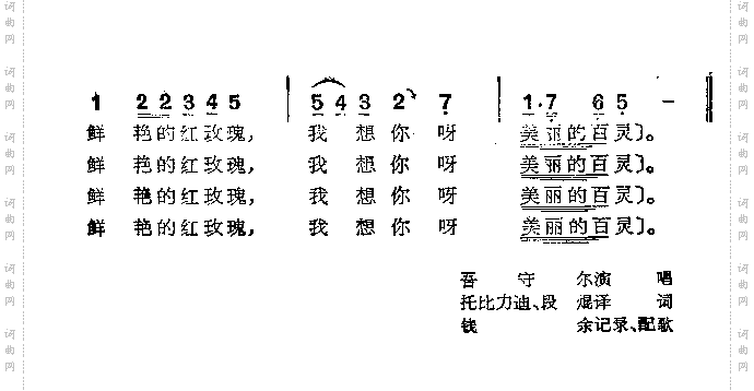 红玫瑰
