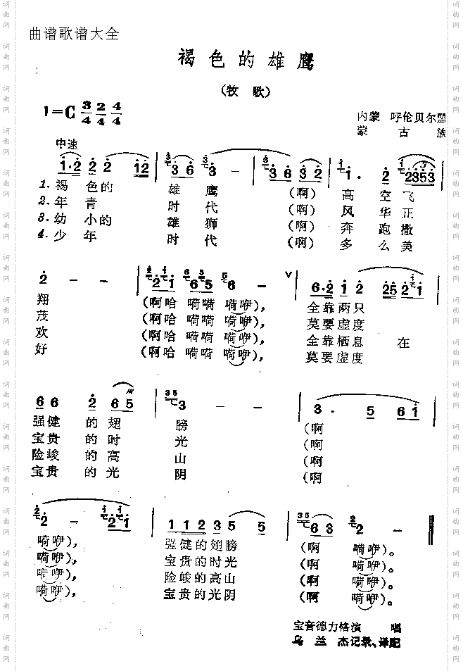 褐色的雄鹰