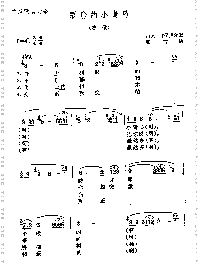 驯服的小青马