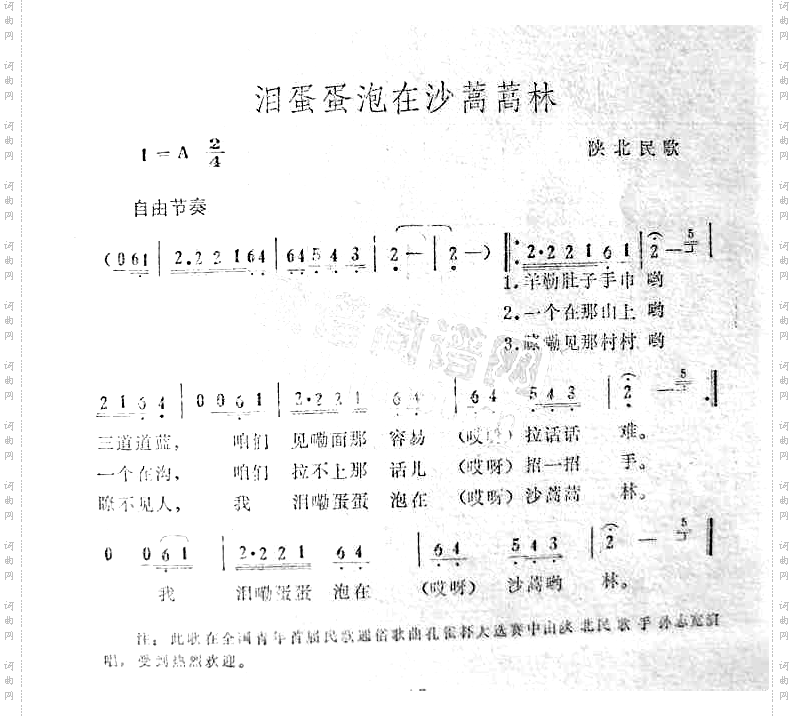 泪蛋蛋泡在沙蒿蒿林陕北民歌