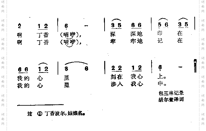 丁香波尔