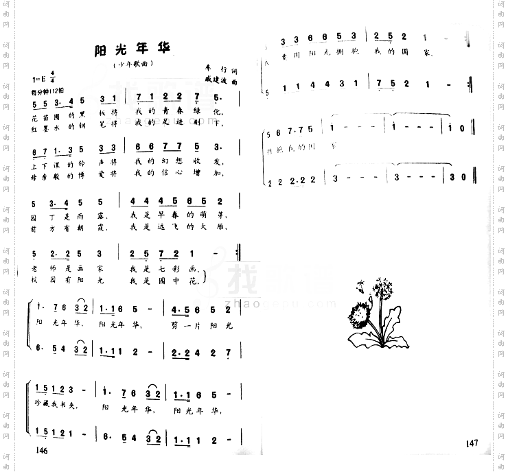 阳光年华