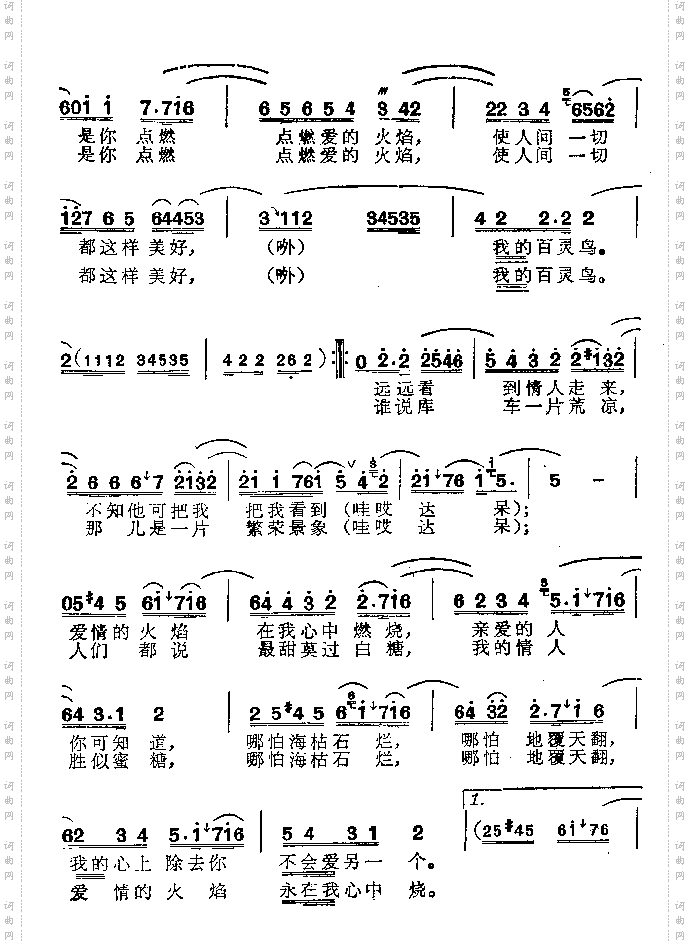 百灵鸟