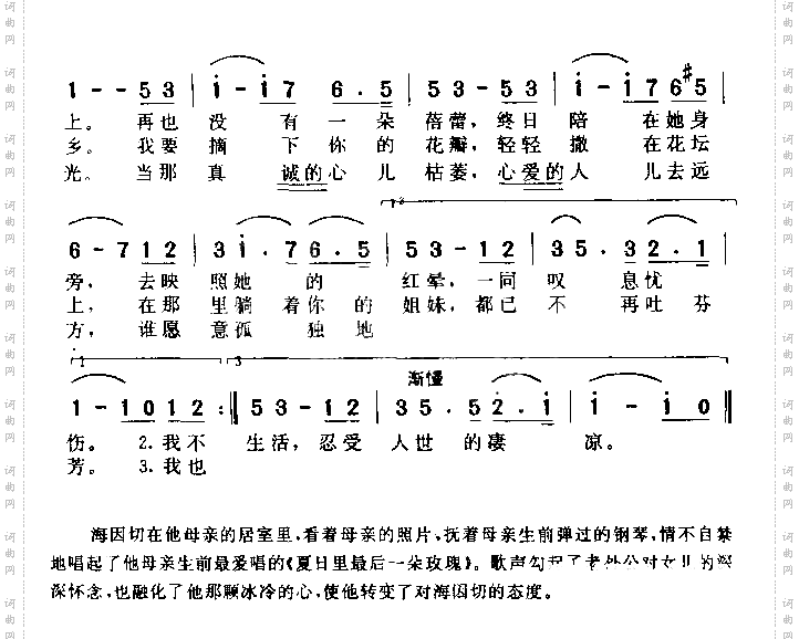 夏日里最后一朵玫瑰