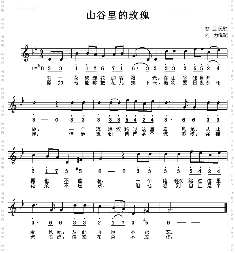 山谷的玫瑰芬兰民歌