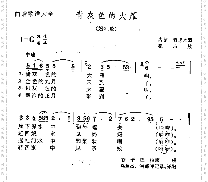 青灰色的大雁