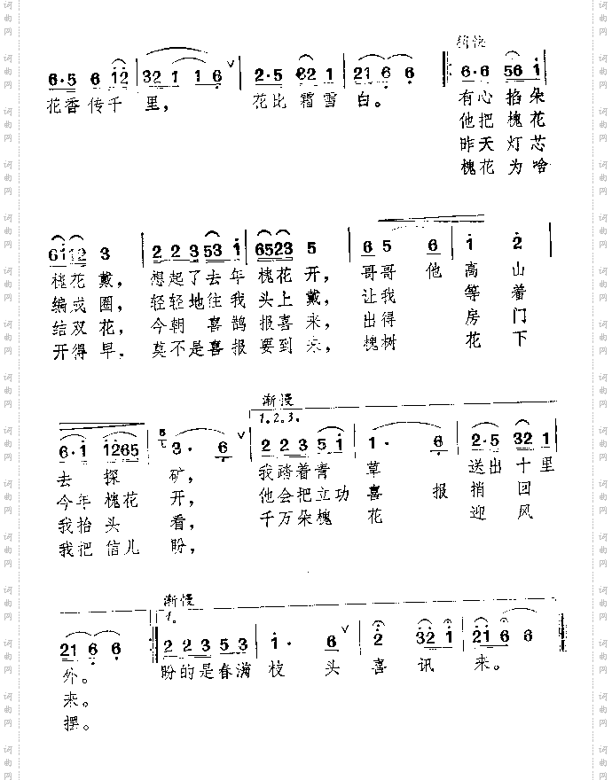 春满枝头喜讯来