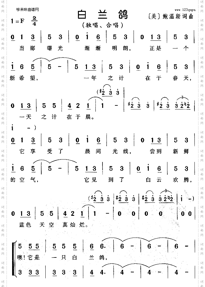 白兰鸽