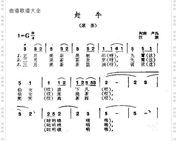 赶牛