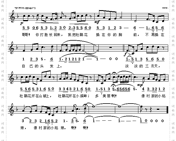 杜鹃花