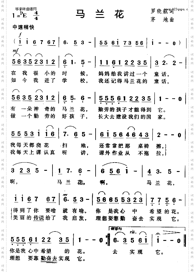 马兰花