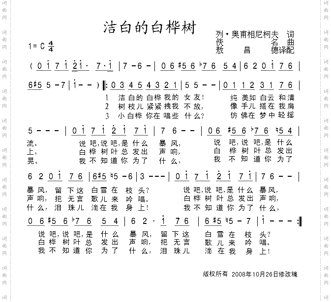 洁白的白桦树