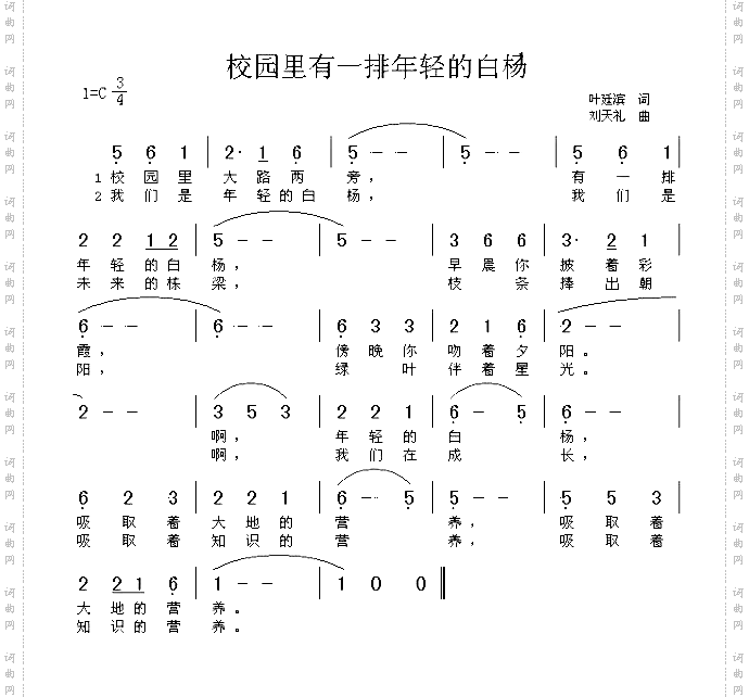 年轻的白杨