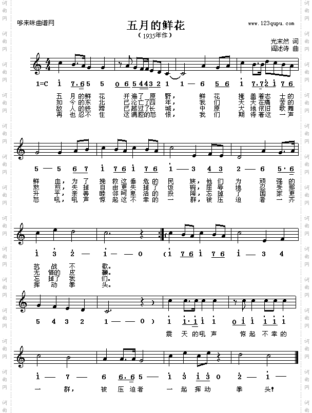 五月的鲜花-阎述诗