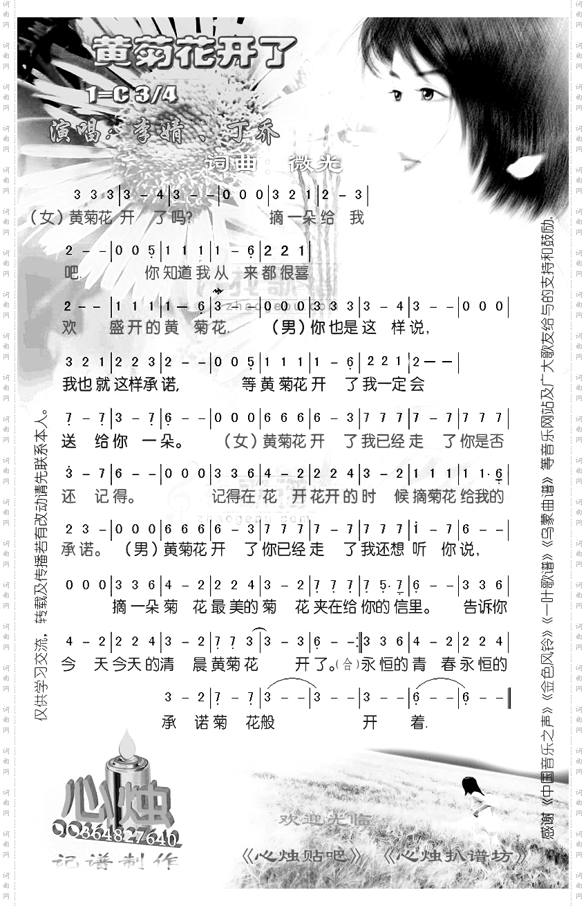 黄菊花开了