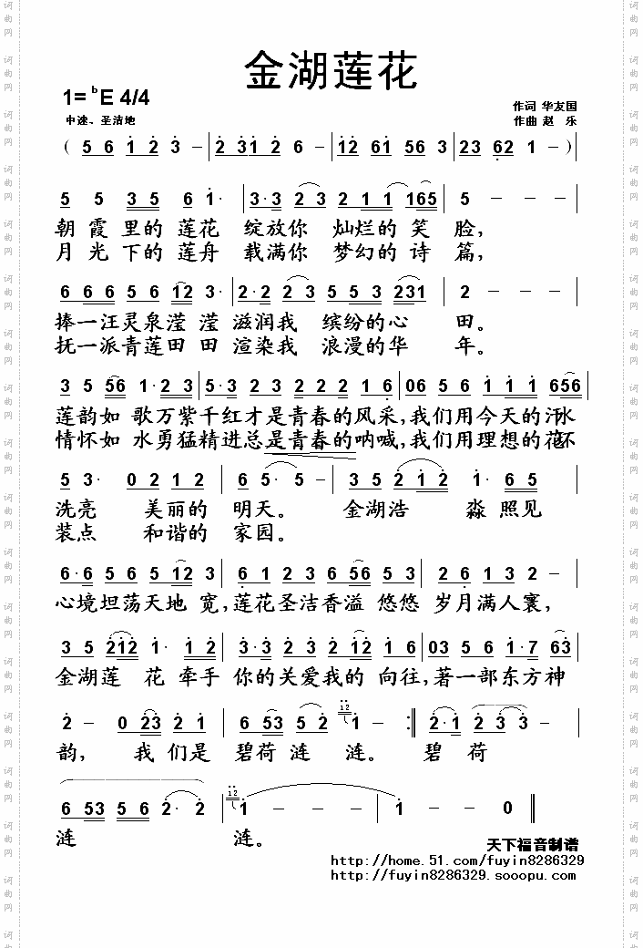 金湖莲花