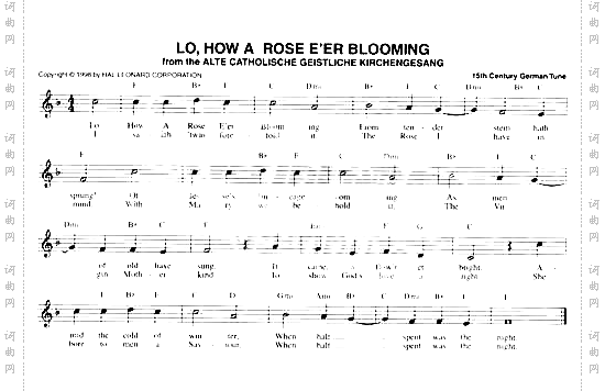 111.LO,HOWAROSEE`ERBLOOMING