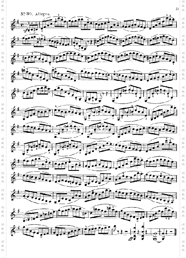 沃尔法特：练习曲60首Op.4521-30页